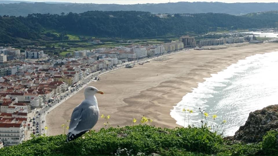 West Coast Dream Nazare Villa Eksteriør bilde